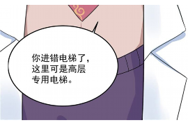 沧县讨债公司